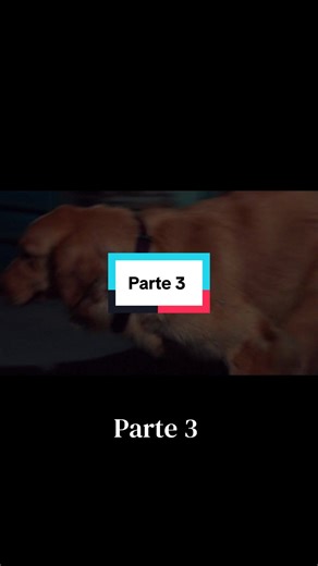 #part3 #fypシ #larosadeguadalupe