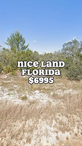 Nice vacant land for sale in Avon Park Lakes, Florida for $6995. Lot size 0.18 acres. #foryou #instalike #florida #orlando #realestate #land #forsale #miami #floridarealestate #floridarealtor #realtor #properties #property #landforsale #realestateinvestor #sales | LandSupplier.com