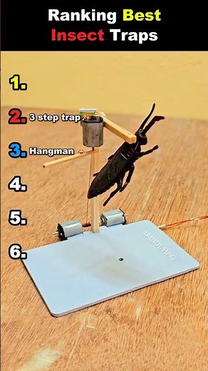 Ranking Best Insect Traps 😏