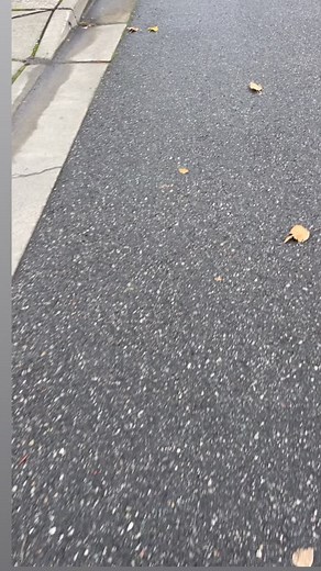 Ride the scooter to work | David Daniels