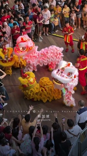 2026 Singapore Wen Yang LED Lion Dance Performance | 新加坡 文扬 發光二極體 舞狮 表演