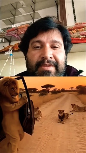 #lion #shorts #animals #collab