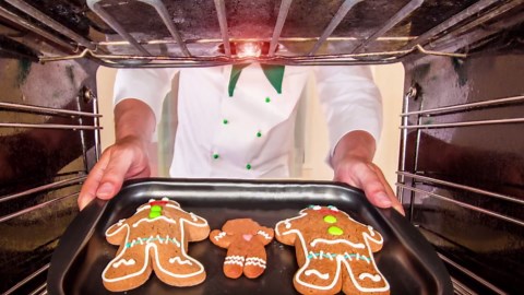 Jslinter 40 watt Appliance Oven Light Bulb - High Temp - 120v Clear - 415 Lumens - E26/E27 Medium Brass Base - G45 4-Pack - Amazon.com