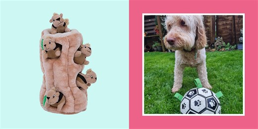 The best dog toys to keep your pet happy, animal tested