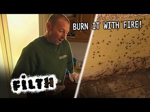 WORST Infestation In Pest Controller Pete's Career | Grimefighters