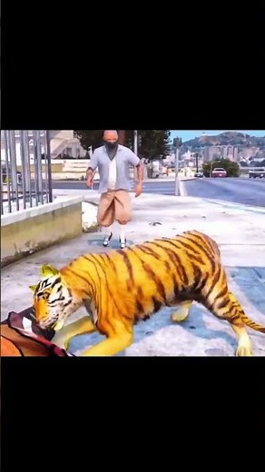 Tiger Simulator - Tiger Games