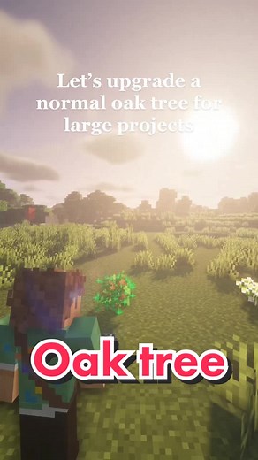 Upgrade Your Oak Tree for Minecraft Building Projects
