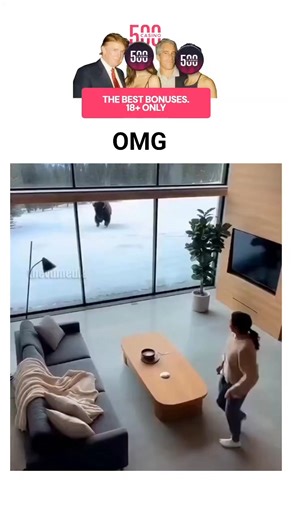 memes on Instagram: "The post features a 10-second AI-generated video of a grizzly bear crashing through floor-to-ceiling windows into a modern luxury cabin overlooking snowy mountains, with a woman reacting in surprise as the animal shakes off debris inside. This footage, first circulating on Instagram in late December 2025, is fabricated using tools like Kling AI for entertainment, as confirmed by multiple sources including fact-checks on similar clips showing unnatural elements like intact di