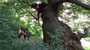 Lover.2005.720p.BluRay.x264.AAC-[YTS.MX]