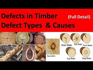 Defect in timber / Defect in wood / Types of Defect in timber / Defect in timber / Timber defect