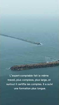 Différence entre compactable et expert comptable