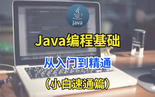 Java编程基础从入门到精通（小白速通篇）