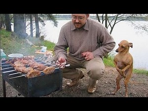 Funny Dogs That Will Make You Laugh Nonstop 🤣