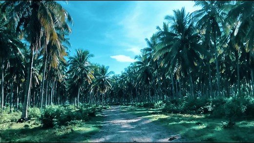 18K views · 625 reactions | WATCH: An explainer video from PCA...