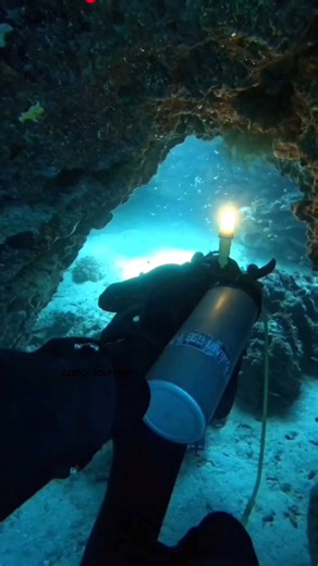 60K views · 864 reactions | Where darkness meets beauty: cave diving adventures. #keepdiving #adventuredive #oceanlife #scubadiving #underwaterworld #fblifestyle | Long Journey | Facebook