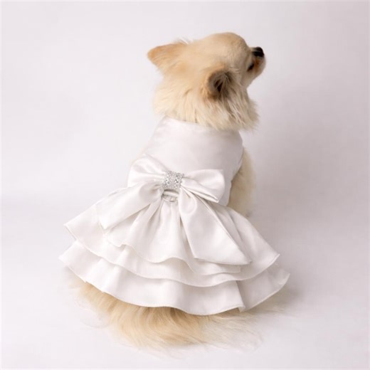 Bridal Dog Dress | White Satin Wedding Dress for Dogs | Elegant Pet Outfit - Etsy