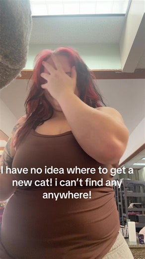 Guide to Finding a New Cat in Lancaster Area