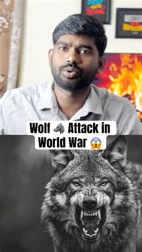 Soldiers vs Wolves in World War 1?🐺🔥#shorts #trending #viral