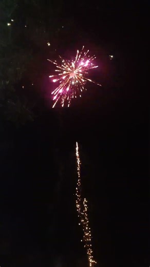 golden rooster fire fairy 36 shots small #fireworks #firefairy