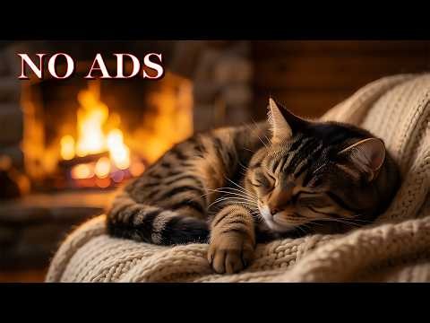 12 Hours Of Healing Music for Cats🐱Anxiety Relief Music Help Healing, Relaxation & Sleep for Cats