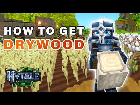 How to get Drywood Logs / Dry or Bottletree ► Hytale