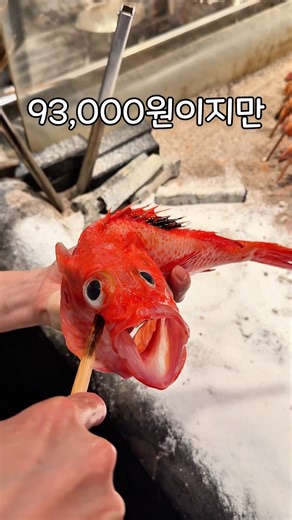 후쿠오카에서 생선구이를 주문하면 생기는 일