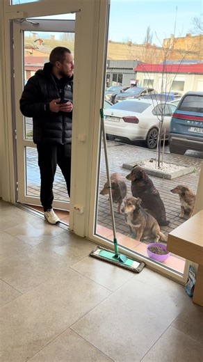 #mobilestudio #15promax #16promax