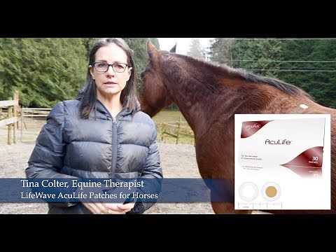 Tina Colter, Equine Therapist ~ AcuLife Patching For Horses Demonstration