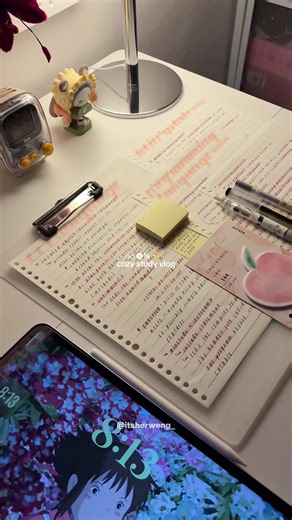 Cozy Study Vlog for Academic Success