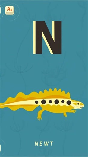 Mini U Zoo Alphabet (AI): N is for Newt