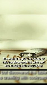 4.6K views · 18 reactions | This landlord always hide under his tenants bed #fypシ゚viralシ #movies #hollywood | ALL ABOUT LISTS | Facebook