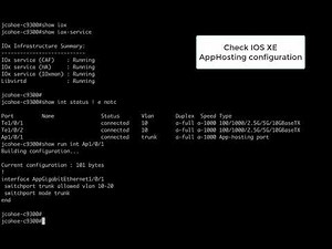 Cisco Catalyst 9300 with Application Hosting - iperf3 demo with front panel port connectivity