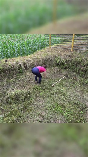 86K views · 1.7K reactions | Build a fish tank - part 1 #bushcraft #Outdoors #offgridliving #offgrid #cabin #logcabin #shelter #build #camp #building #suvival #fypシ #foryou | Explore China | Facebook