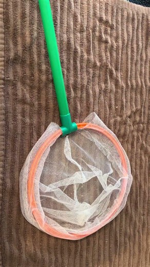 Butterfly Insect Net Review | Outdoor Nature Fun for Kids