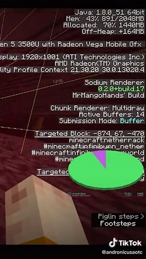 Locate Nether Fortresses Using Minecraft Pie Chart Guide