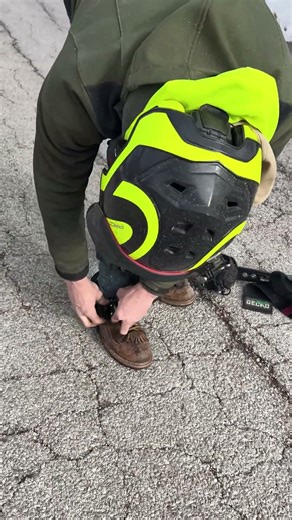 Teach Me Something - Tree Spikes with Mikey #arborist