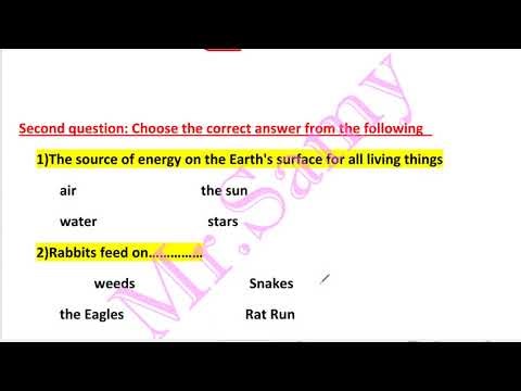 concept 2 energy flow through ecosystem grade 5