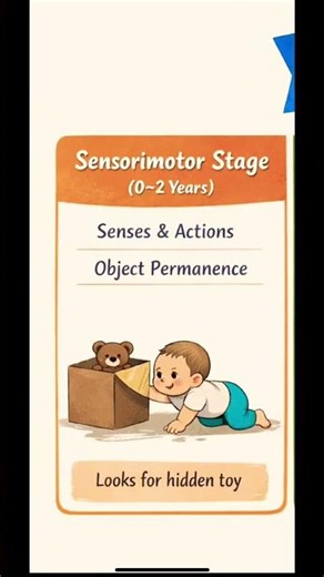 Piaget sensory motor stage