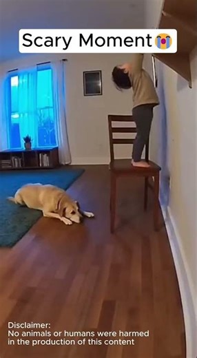 Moments How Dogs Help People! #Animal #LifeSaving #Reaction