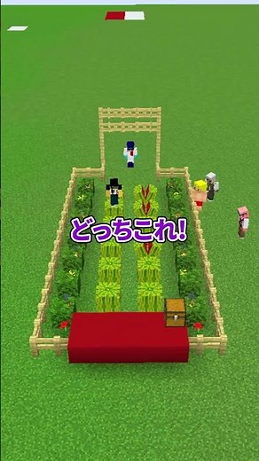 Don't Crush the Watermelons!