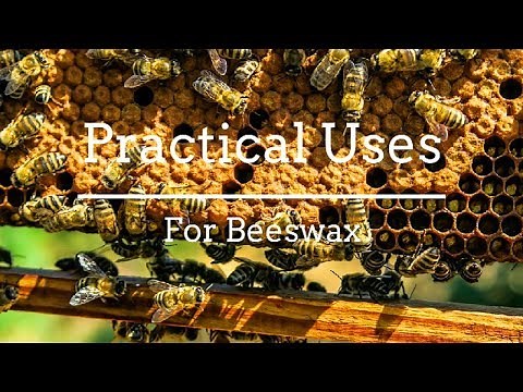 5 Practical, Surprising Uses for Beeswax