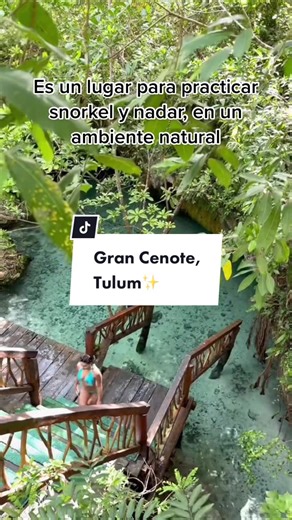 Explora Gran Cenote en Tulum: Snorkel y Naturaleza