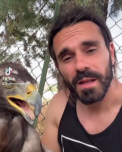 Arte animale #abruzzo #arte #falcong #falconeria #tiktok #perte #aquilareale #falconiere #giovannigranati vi aspettiamo in @fortezzadicivitella il giorno 27 giugno ore 10.30 info 3208424540 o a battaglia di #campli il 4 luglio per il #festivaldelleaquile ore 15.00 info 3485345364 www.falcong.it www.fortezzadicivitella.it | Falcong