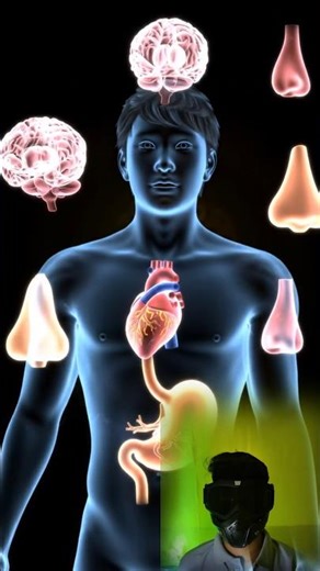 Incredible Secrets of the Human Body