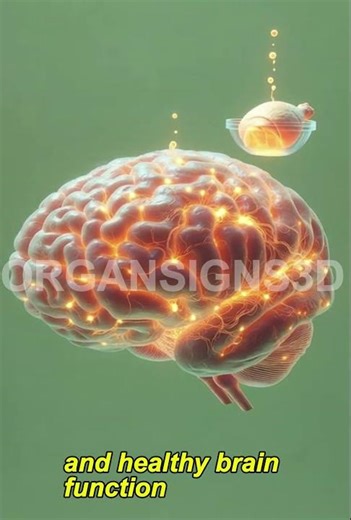 Boiled Chicken: What It Does to Your Body #health #wellness #medicalanimation #shorts