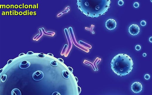 【免疫学】Introduction to Immunology