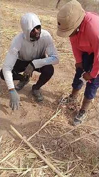 How to Collect Soil Samples in Mineral Exploration Exploration