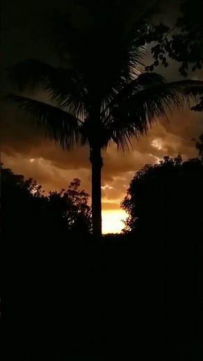 Take Me Home Country Roads - John Denver - Sunset