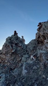 16M views · 182K reactions | mountain lion tracked to the TOP of the mountain! #hunting #lions #hunter #dogsofinstagram #hunt #outdoors #OnThisDay | Cutler Hounds | Facebook
