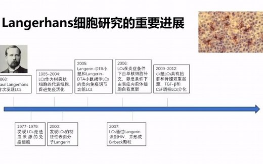 朗格汉斯细胞的前世今生-上海华山医院（李巍教授）